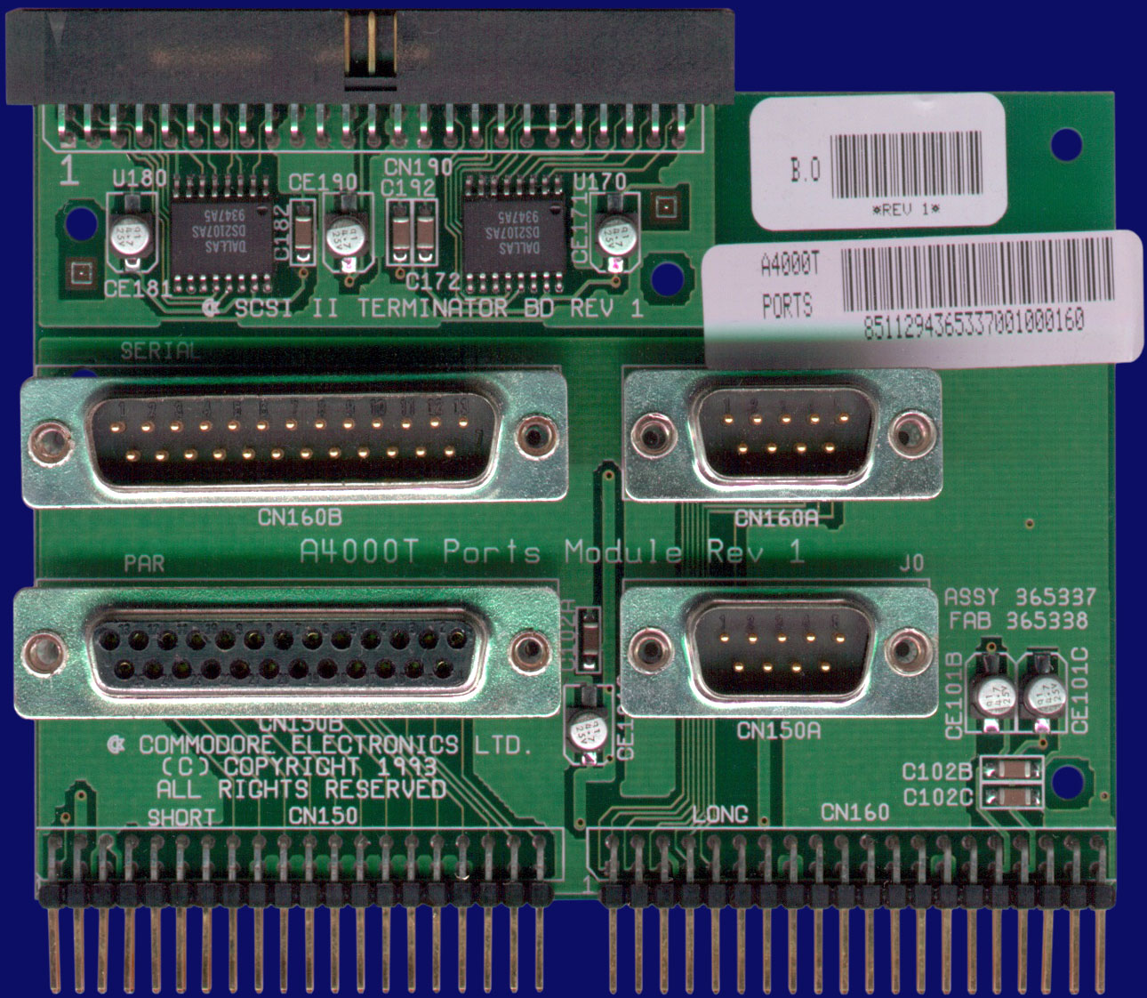 Commodore Amiga 4000T - Anschluss-Modul / SCSI-Terminator, Vorderseite