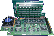 Great Valley Products T-Rex (G-Force 040) - Board with Memory module  front side