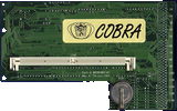 DKB Cobra -  back side